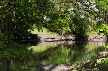 Fototapeta na wymiar Irtysh river backwater in the Park. Parkland.