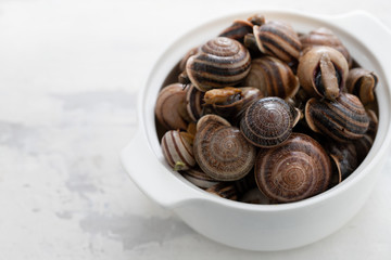 boiled snails with herbs in white dish on ceramic background