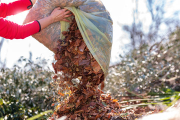 People carrying dry leaves and grass to landfill