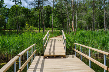 beautiful wooden plank pathway walkway in green pasture