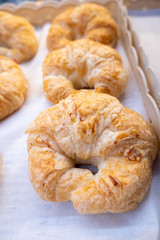 freshly baked croissants on baking tray - Close up