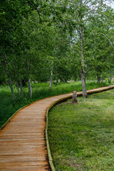 Fototapeta na wymiar beautiful wooden plank pathway walkway in green pasture