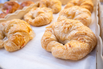freshly baked croissants on baking tray - Close up