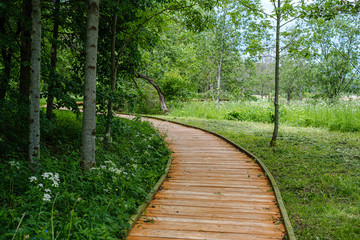 Obraz premium beautiful wooden plank pathway walkway in green pasture