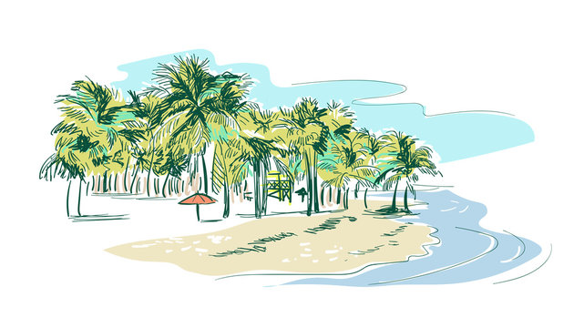 palm beach vector sketch landscape line illustration skyline