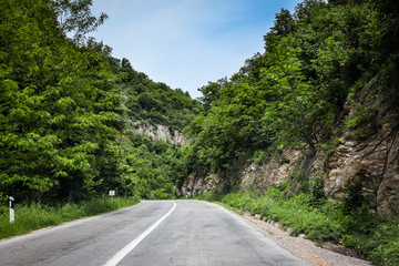 Fototapeta na wymiar Road through forest and mountain in Djerdap gorge national park in Serbia
