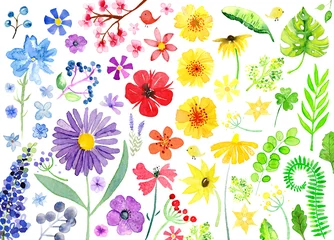 Foto op Plexiglas anti-reflex watercolor flowers © imaginando