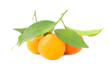 Group of orange mandarins with green leaves isolated on white background