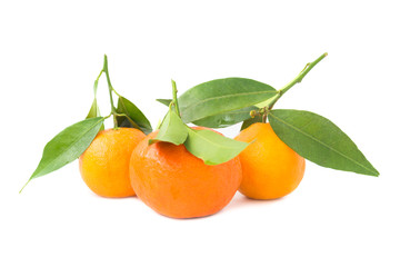 Group of orange mandarins with green leaves isolated on white background