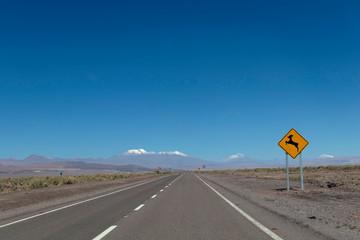 Desert road: A long straight road with road sign through the Atacama Desert, Chile