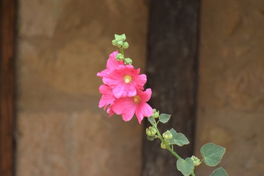 Beautiful suumer Cyprus nature background