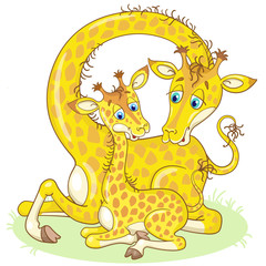 Giraffe family. Mom and her baby. In cartoon style. Isolated on white background.