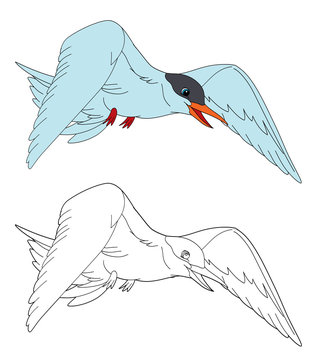 recommend clip art: cartoon scene with flying bird tern isolated on white background with coloring page sketchbook illustration for children