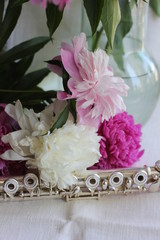 still life with silver flute and peonies, photography