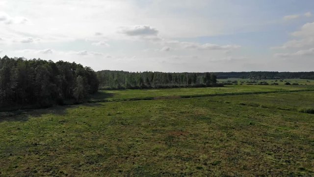 Aerial view from a drone approaching the forest from the meadow in the morning with the rising sun and fog. Northern coniferous forest seen from above with green trees and primeval relaxing nature
