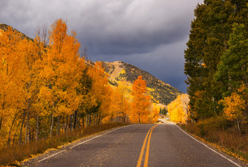 Autumn in Colorado