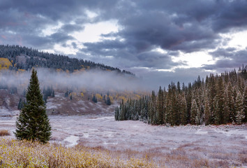 Autumn in Colorado