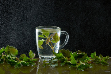 Cup of medicinal nettle tea with nettle leaves and water dust