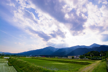 田んぼと山脈