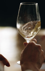 Glass of rose and white wine seen in close hand.