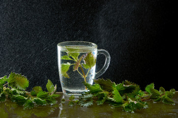 Cup of medicinal nettle tea with nettle leaves and water dust