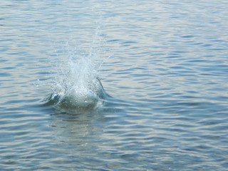 Splash