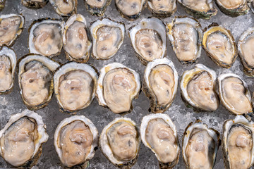 Fresh oysters on ice at a seafood restaurant. Ready for eat or serving, Selective focus. Oysters...