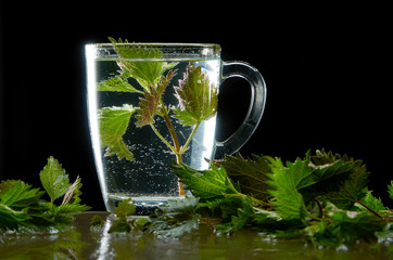 Cup of medicinal nettle tea with nettle leaves
