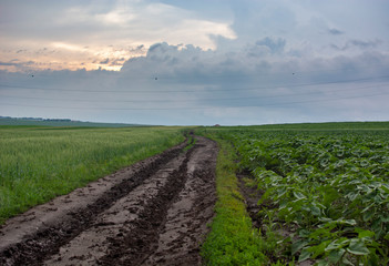 Road views after the rain in a field