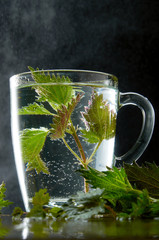 Cup of medicinal nettle tea with nettle leaves and water dust on black background
