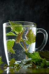 Cup of medicinal nettle tea with nettle leaves and water dust on black background
