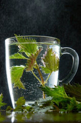 Cup of medicinal nettle tea with nettle leaves and water dust on black background