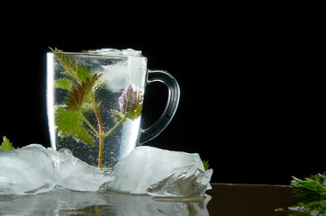 Cup of medicinal nettle tea with nettle and ice leaves on black background