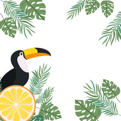 pattern of toucan and summer flower