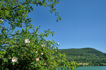 Fototapeta premium The beautiful lake called 