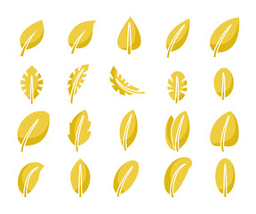 yellow leaf icons set