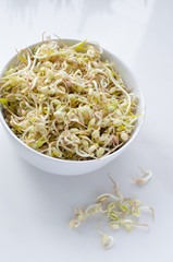 mung beans on white background, in a white deep plate