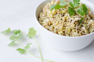 mung beans salad on white background, in a white deep plate