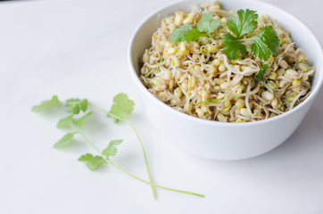 mung beans salad on white background, in a white deep plate