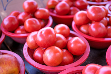 Delicious fresh tomatoes fruit vegetable food in red plastic basket at tradition market afternoon, Seoul, South Korea, harvest concept, close up.