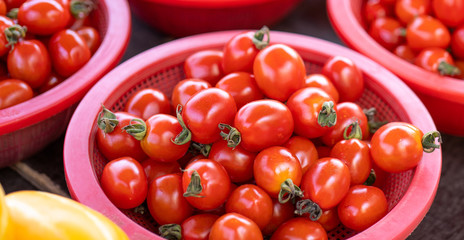 Delicious fresh tomatoes fruit vegetable food in red plastic basket at tradition market afternoon, Seoul, South Korea, harvest concept, close up.