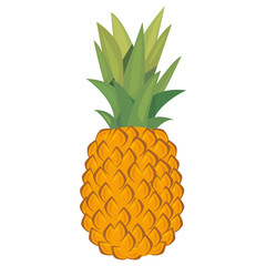 pineapple nutrition fresh fruit icon vector ilustrate
