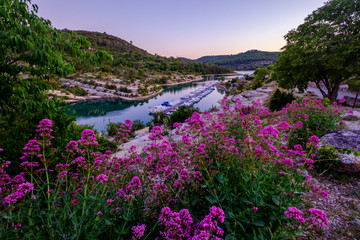 Vue panoramique sur le lac d'Esparron, fleurs de valériane rouge au premier plan. Coucher de soleil. Provence, France, Gorges du Verdon.