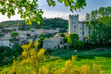 Vue panoramique sur le village et le château d'Esparron de Verdon. Provence, France. 