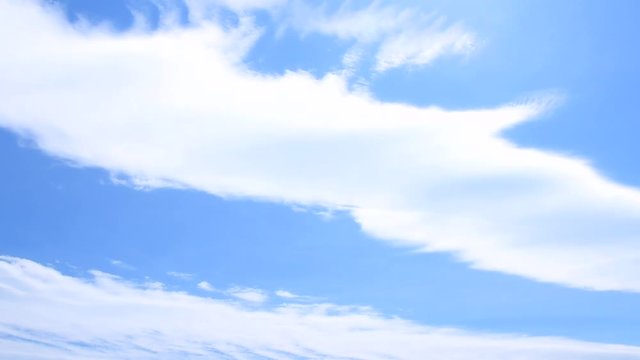 Bird and the Blue Sky  / Cloud