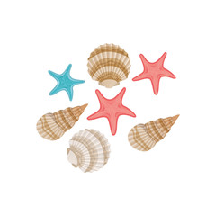 Obraz premium cute seashells on the sea in white background