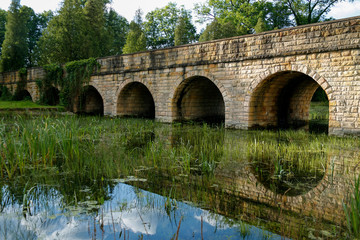 ancient stone bridge over overgrown pond