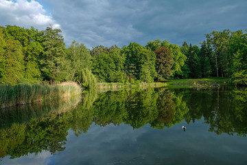 calm summer lake in the park
