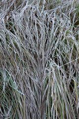 autumn in yosemite valley, california