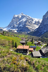 Grindelwald village, switzerland with alpine landscape